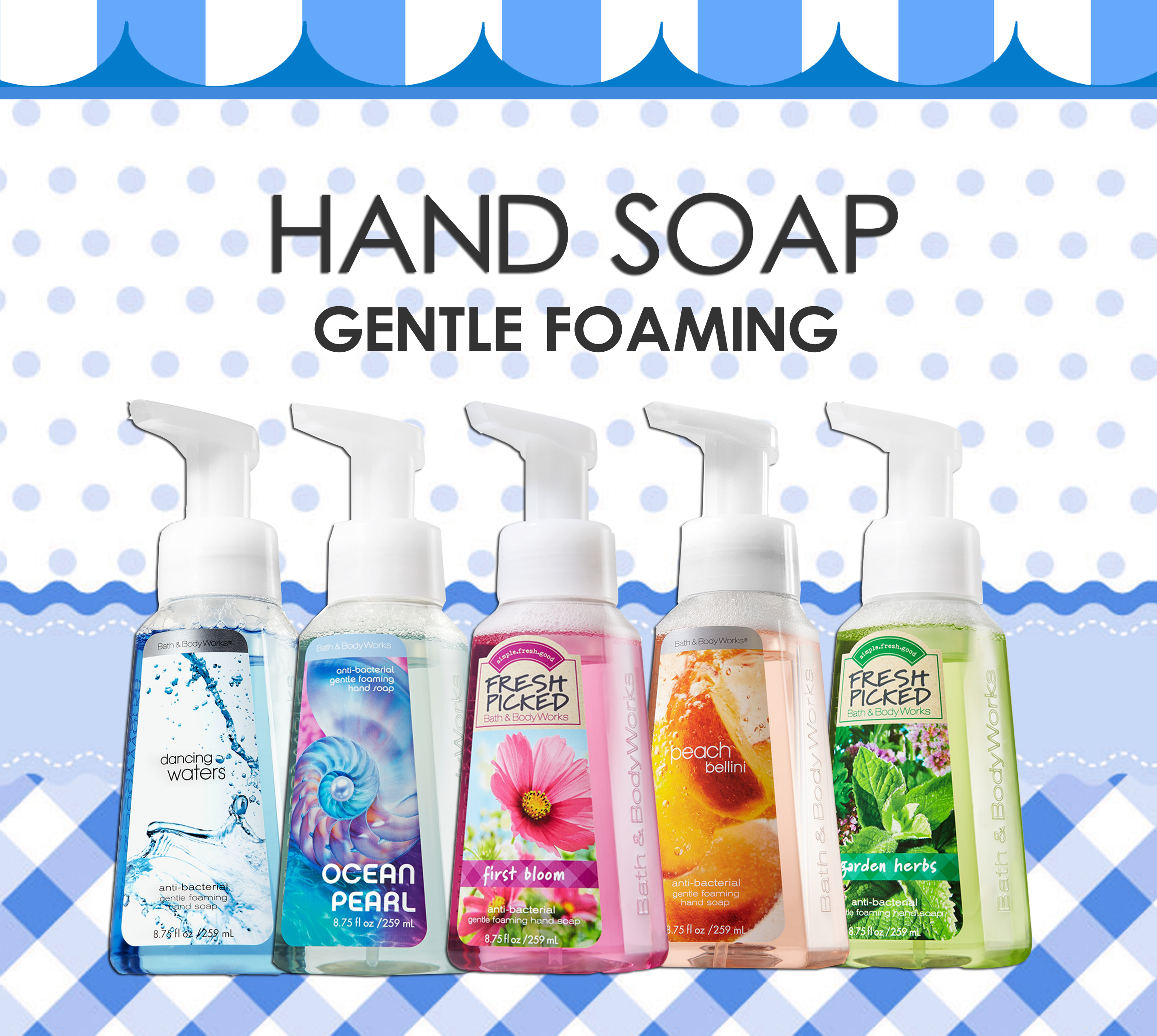 Anti-Bacterial Hand Soap (Gentle Foaming)