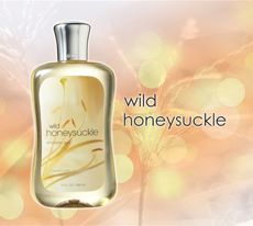Shower Gel - Wild Honeysuckle /295ml