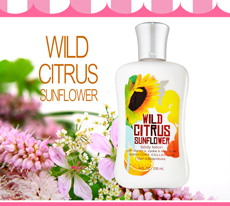 Body Lotion - Wild Citrus Sunflower /236ml