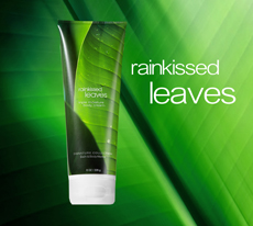 Body Cream - Rainkissed Leaves /226g