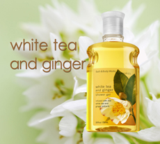 Shower Gel - White Tea & Ginger /295ml